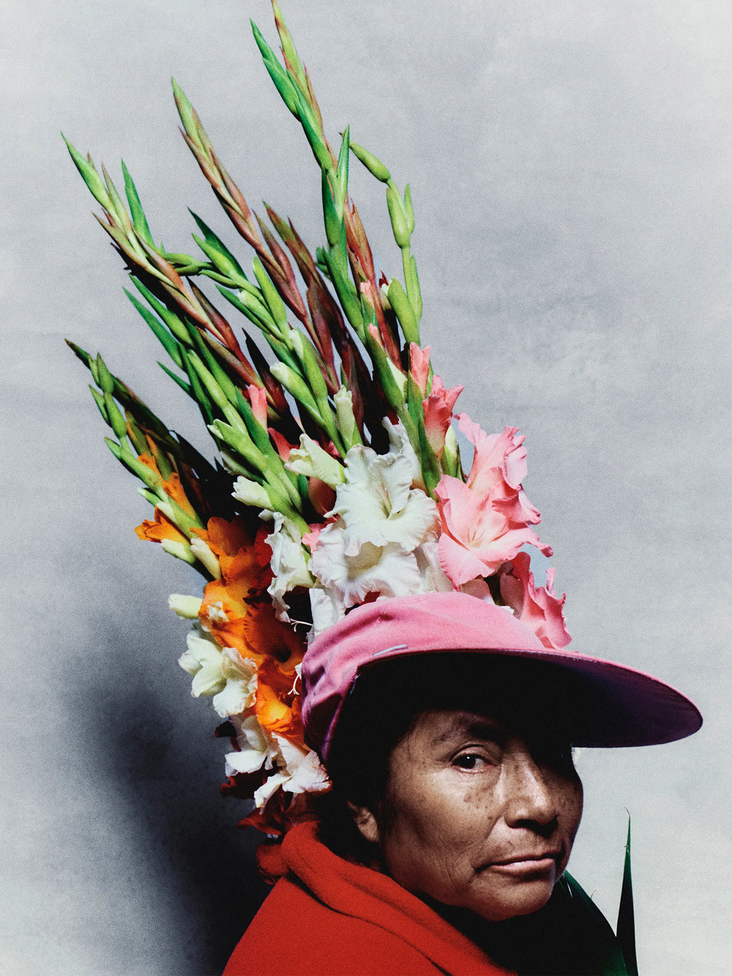 In Peru, the meaning of flowers takes on a resilient value